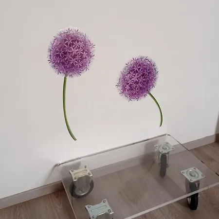 Alishome Centre-beach-ariston-casino San Remo